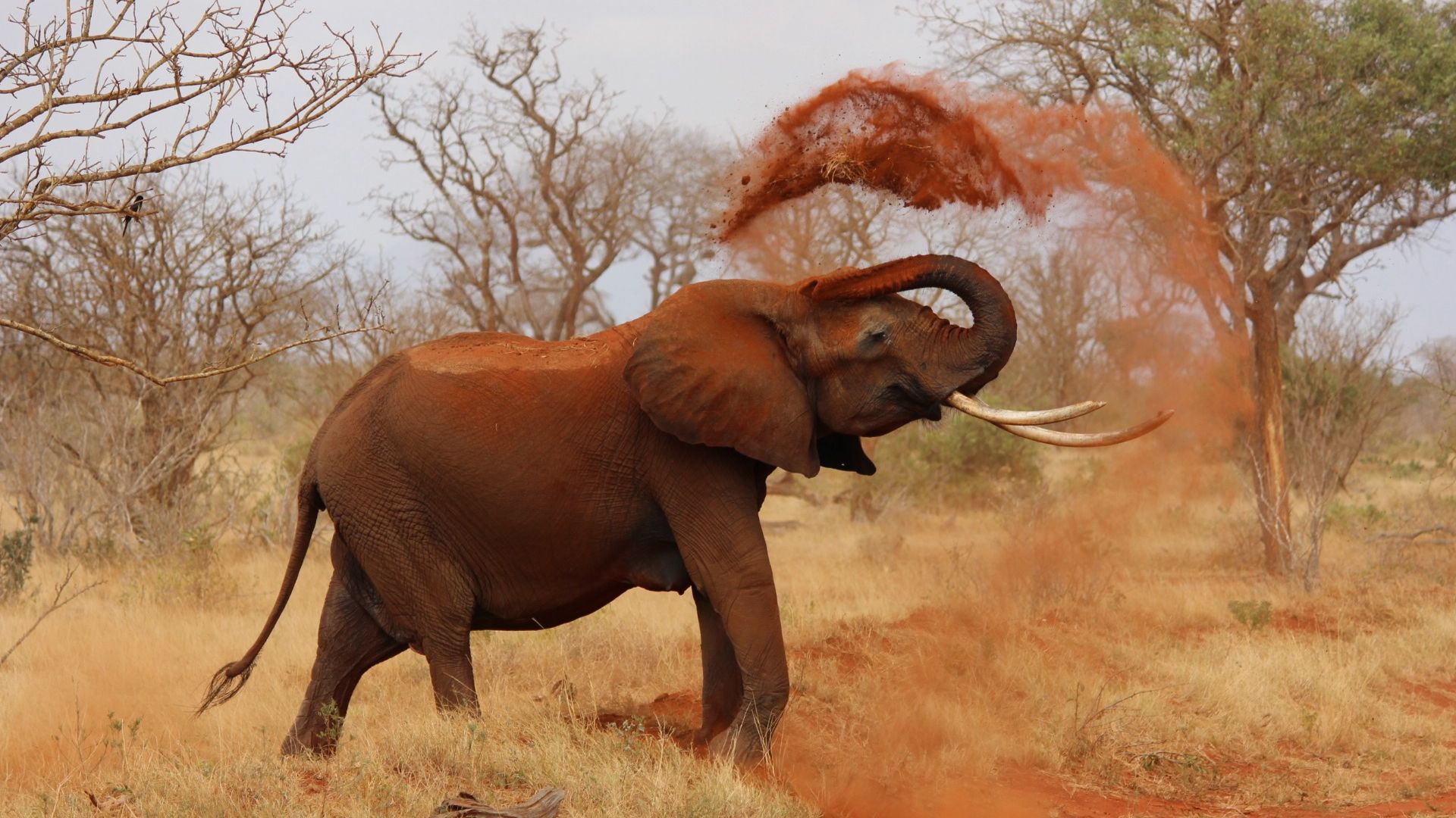 africa-02