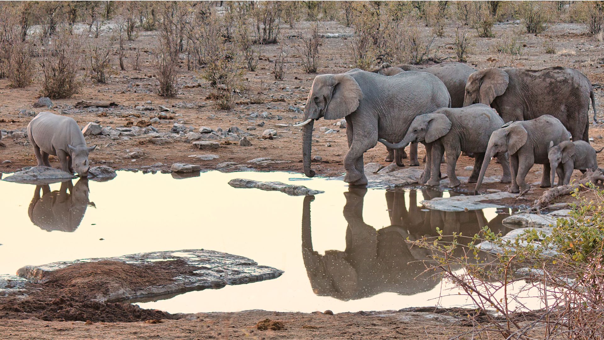 africa-03