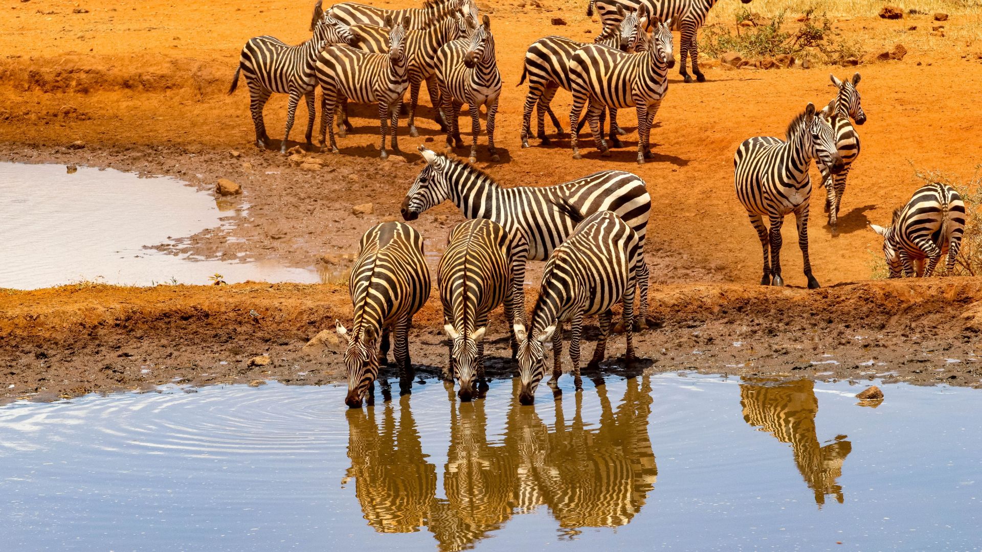 africa-04