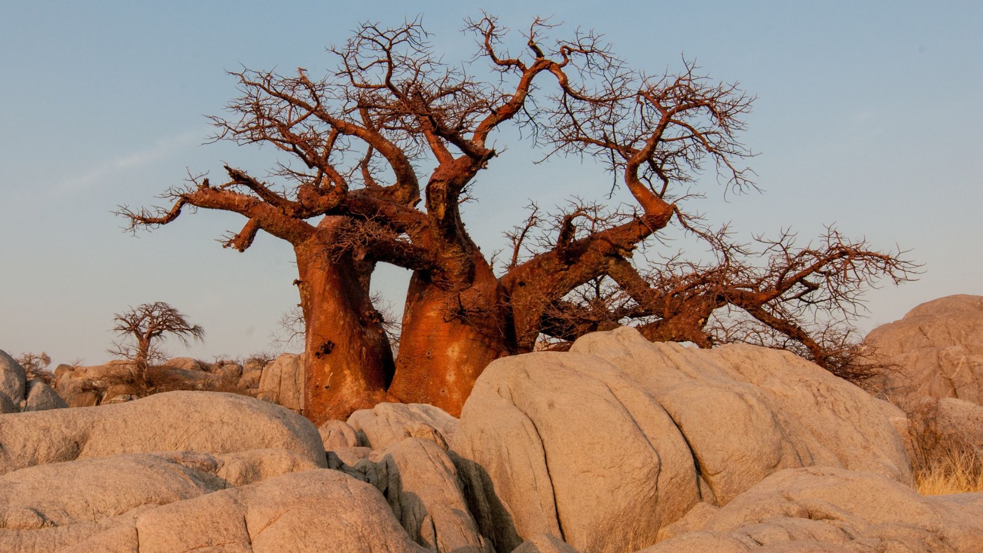 africa-05
