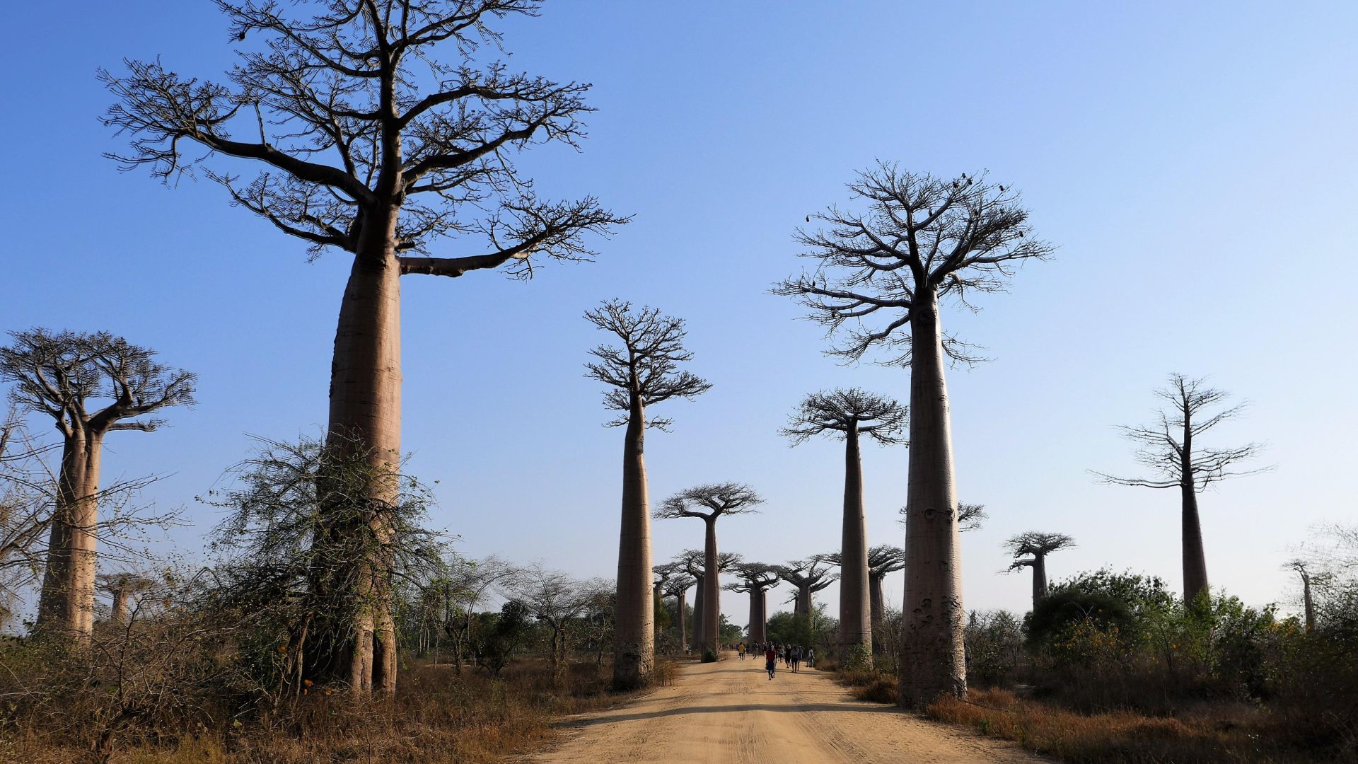africa-06