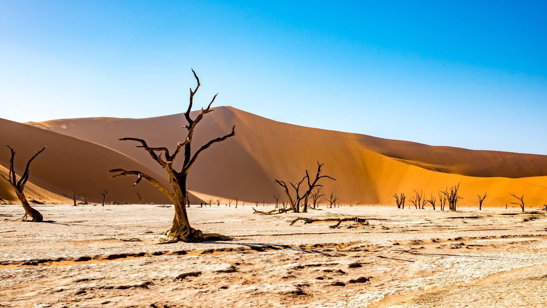 africa-07