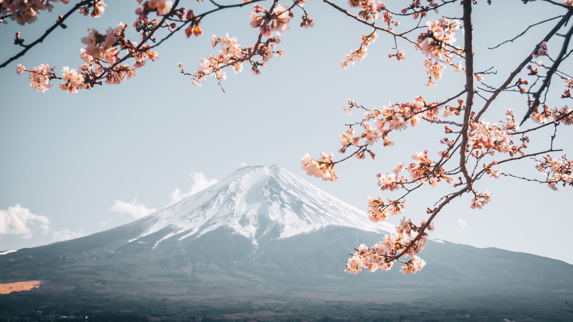 asia-17