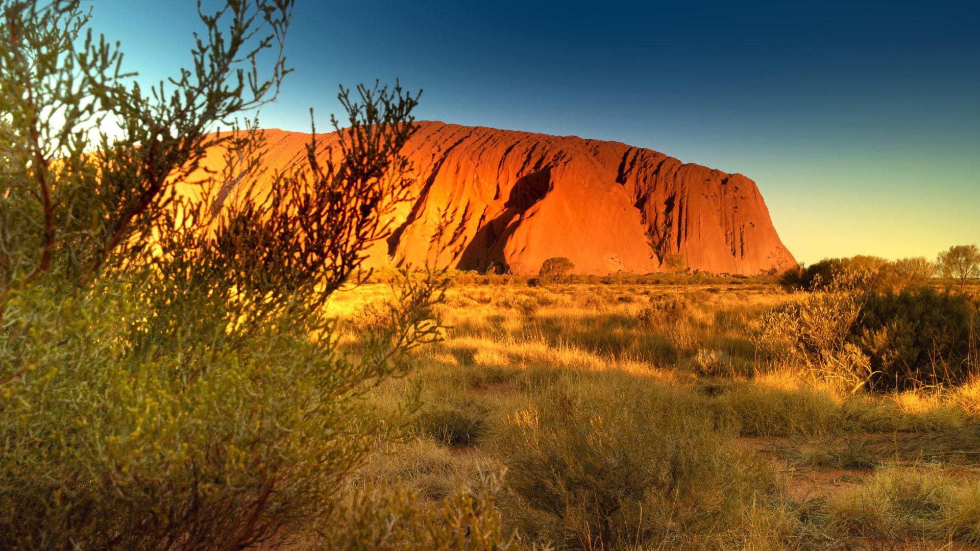 oceania-08